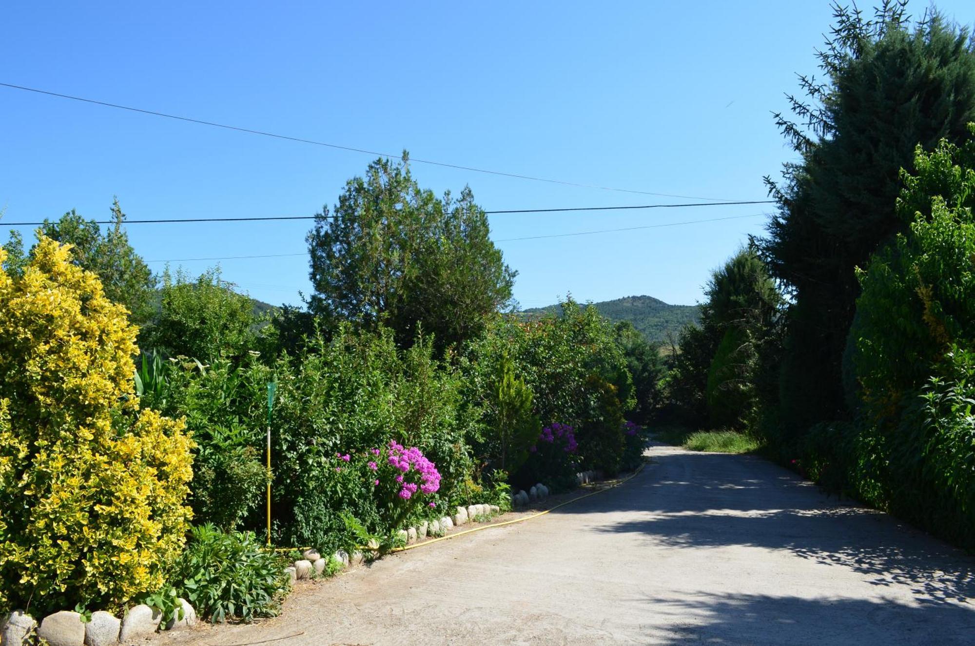 لا سو دي أورغل Casa Rural La Vall Del Cadi المظهر الخارجي الصورة